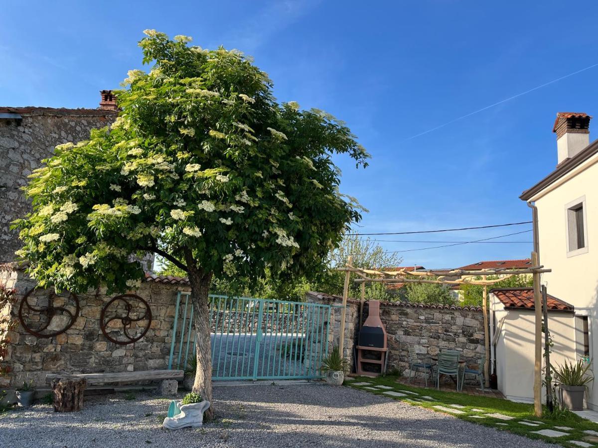 Apartma Ob Stari Murvi, Sežana Zewnętrze zdjęcie